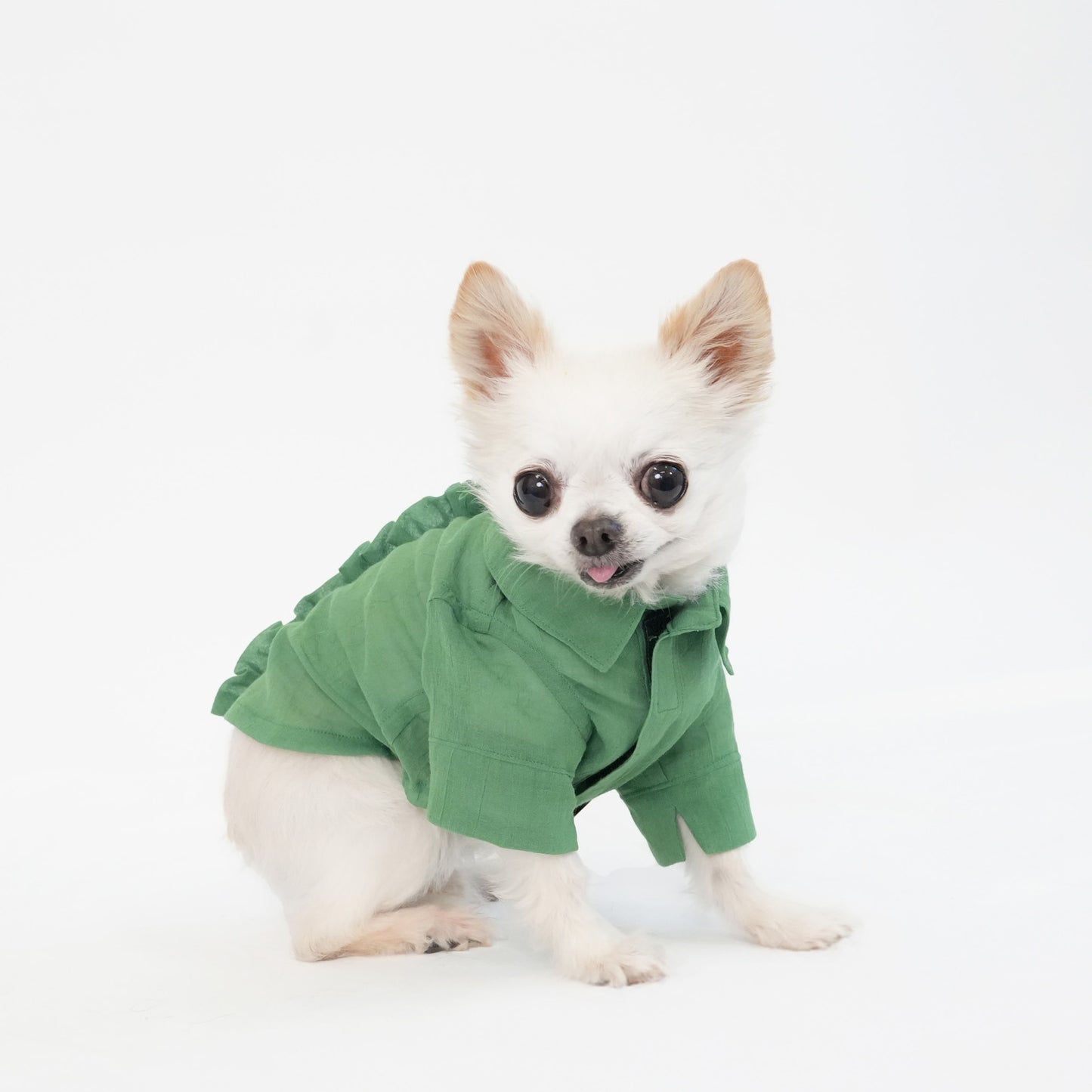 バックフリルシャツ (Green)
