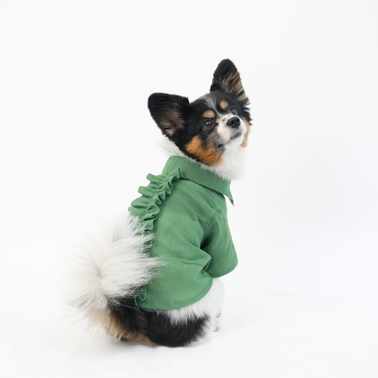 バックフリルシャツ (Green)