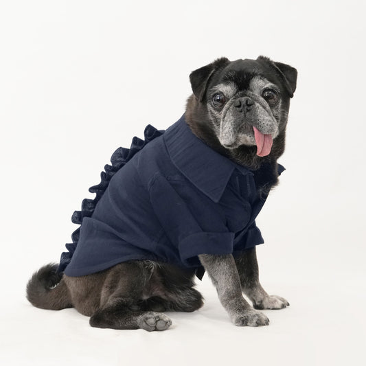 バックフリルシャツ (Navy)