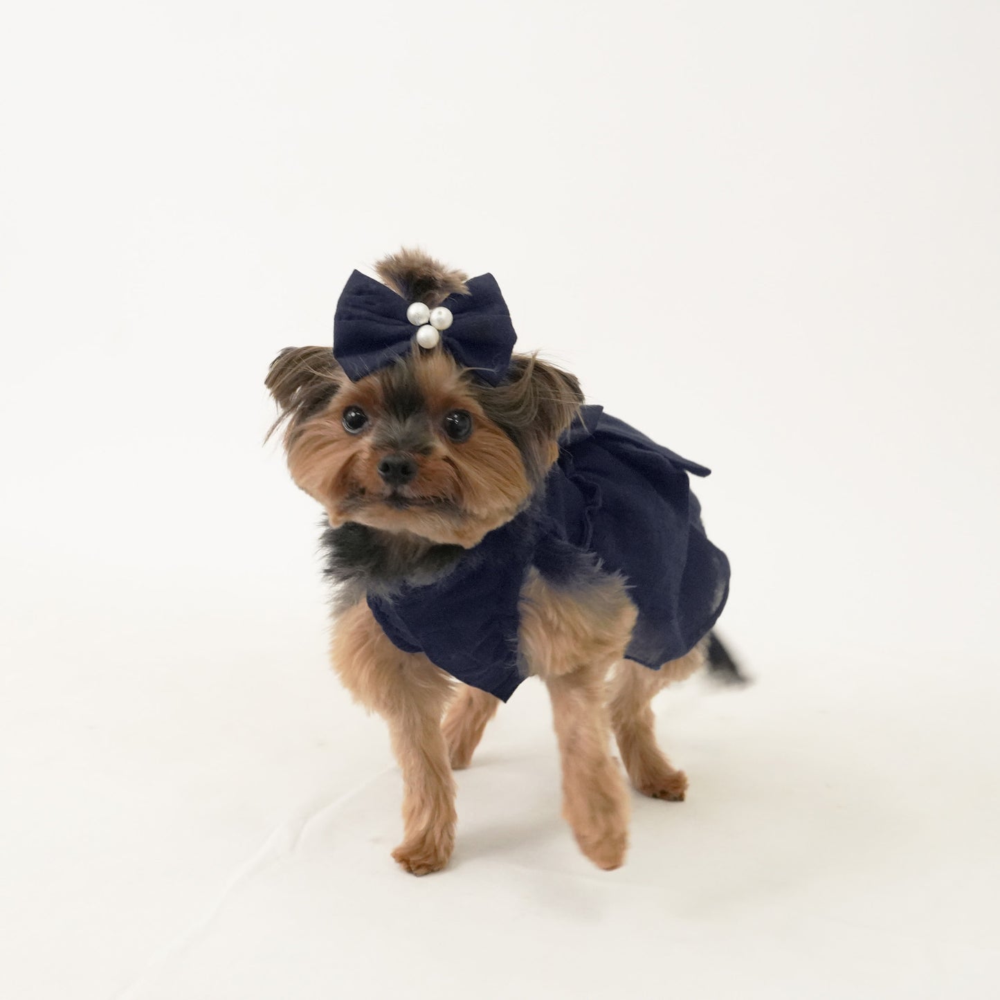 バックフリルワンピース (Navy)