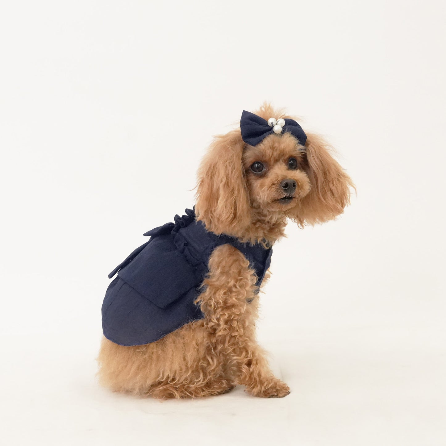 バックフリルワンピース (Navy)