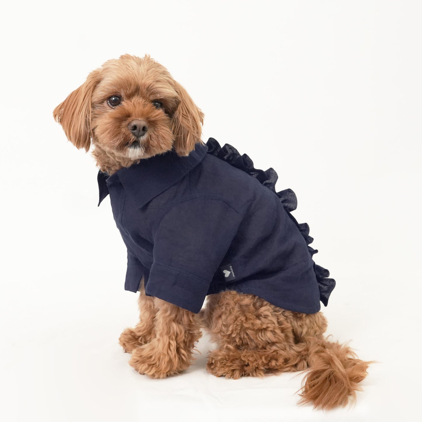 バックフリルシャツ (Navy)