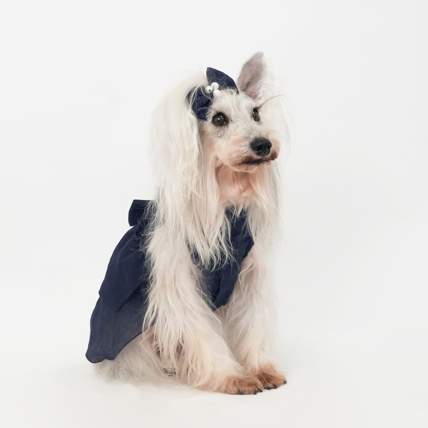 バックフリルワンピース (Navy)