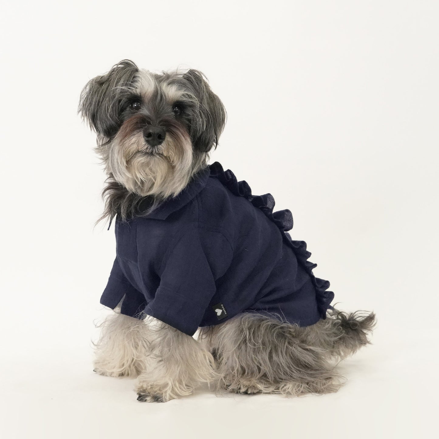 バックフリルシャツ (Navy)