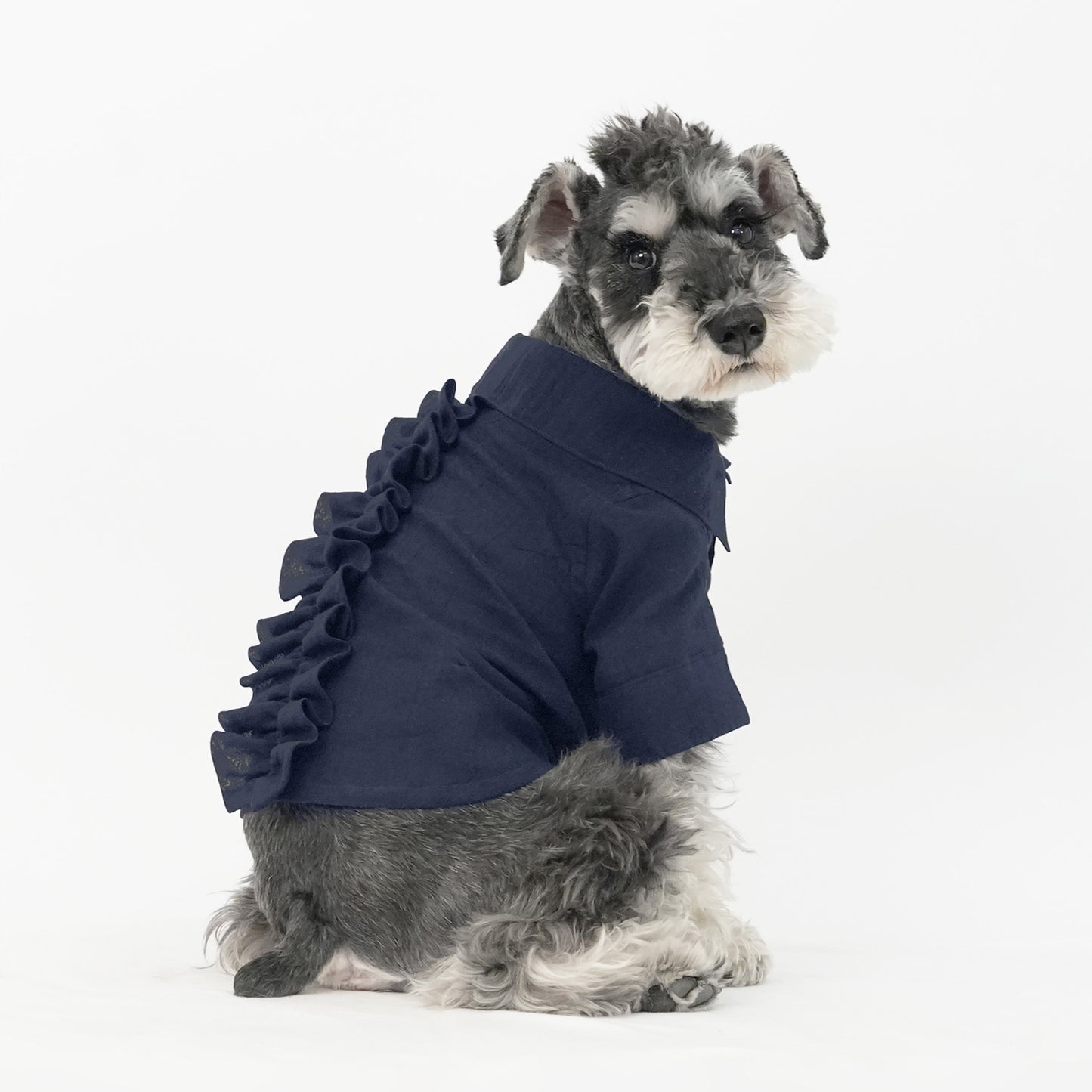 バックフリルシャツ (Navy)