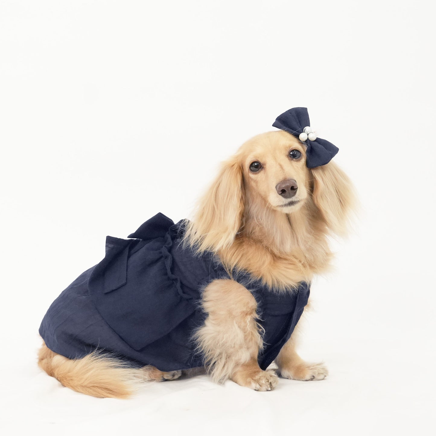 バックフリルワンピース (Navy)