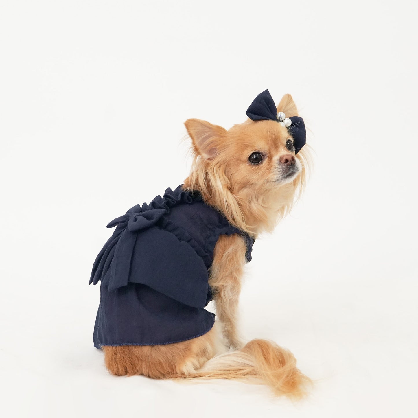 バックフリルワンピース (Navy)