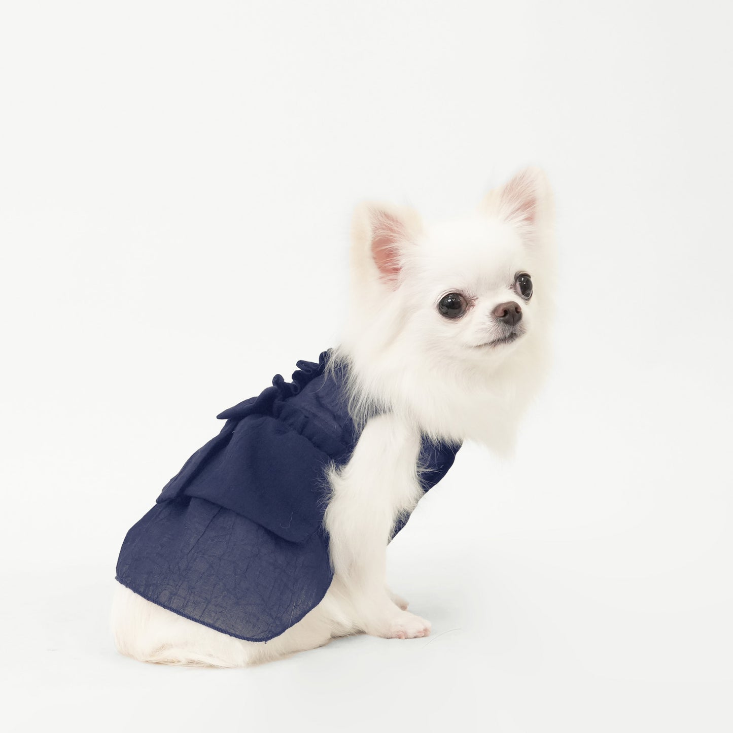 バックフリルワンピース (Navy)