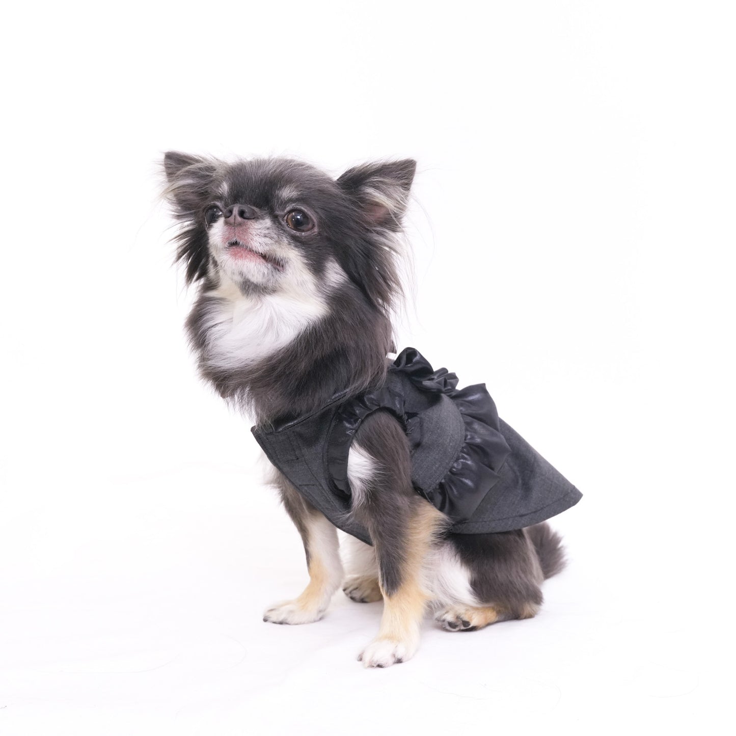 シャインパーティードレス (Gray)