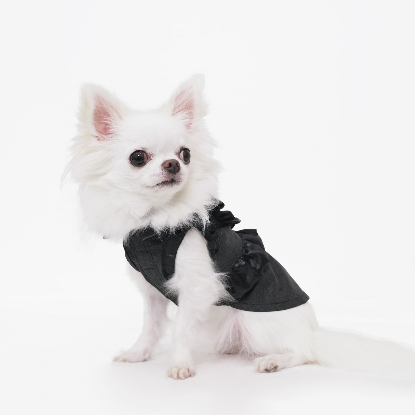 シャインパーティードレス (Gray)