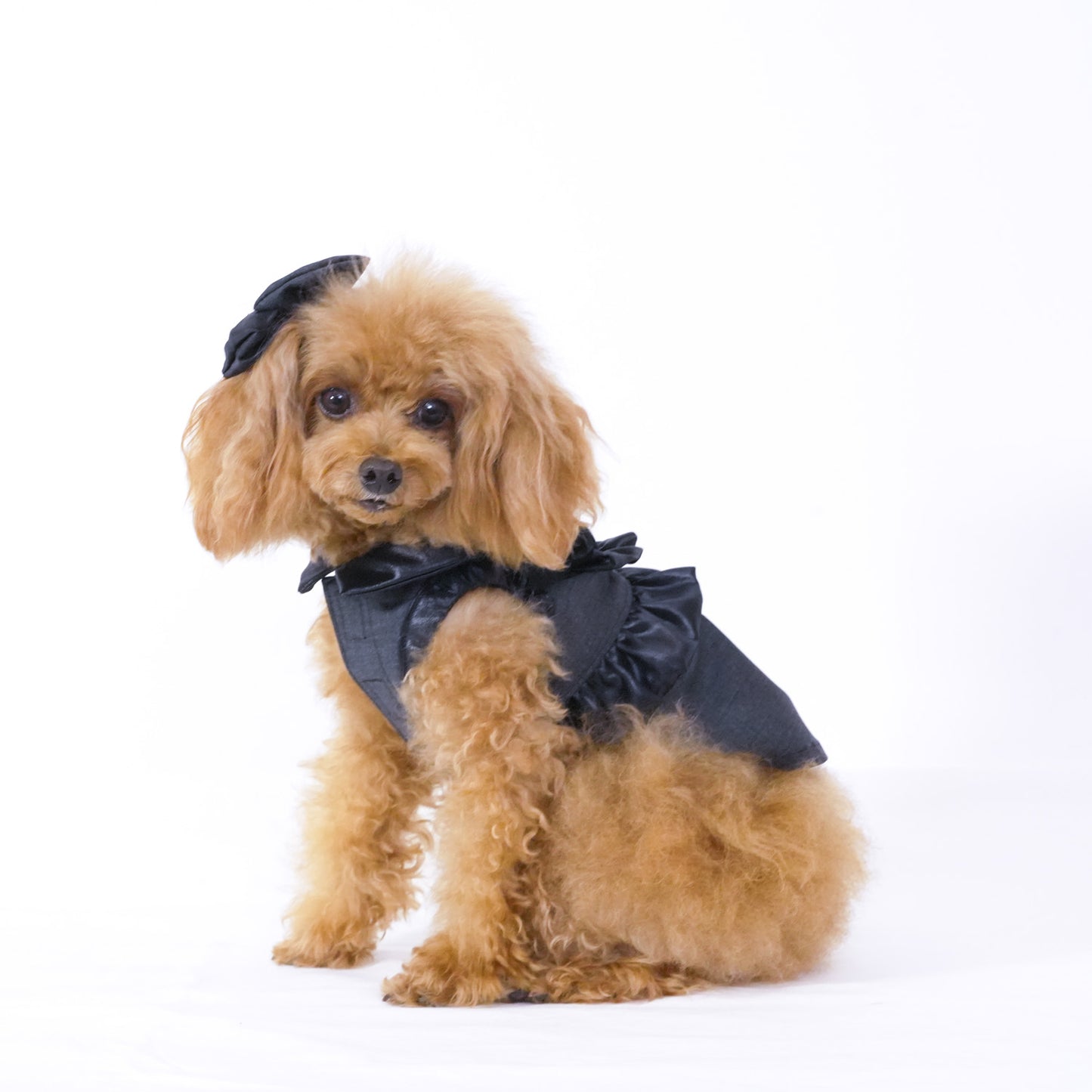 シャインパーティードレス (Gray)