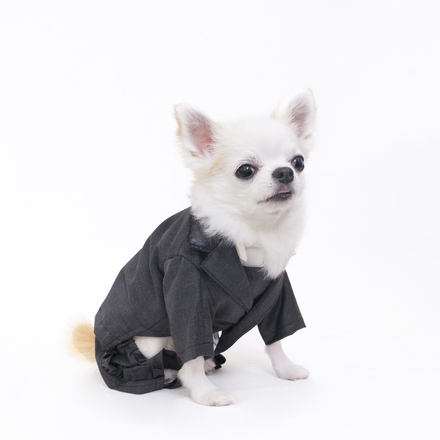 シャインパーティージャケット (Gray)