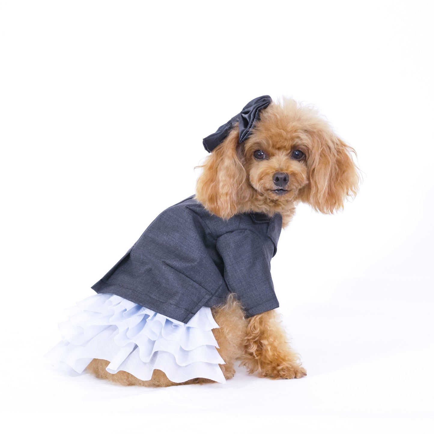 シャインパーティージャケット (Gray)