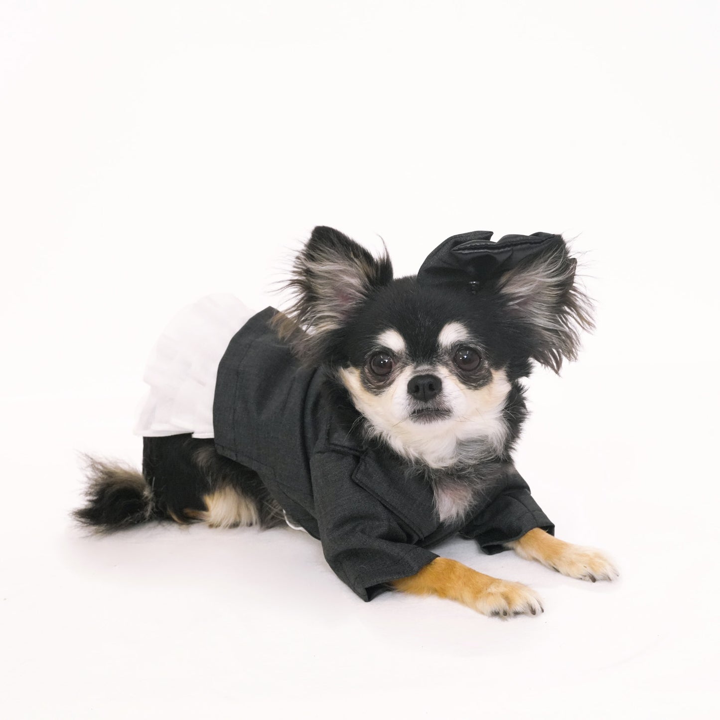 シャインパーティージャケット (Gray)