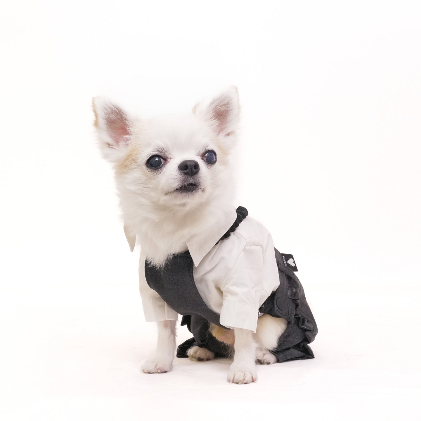 シャインパーティーパンツ (Gray)