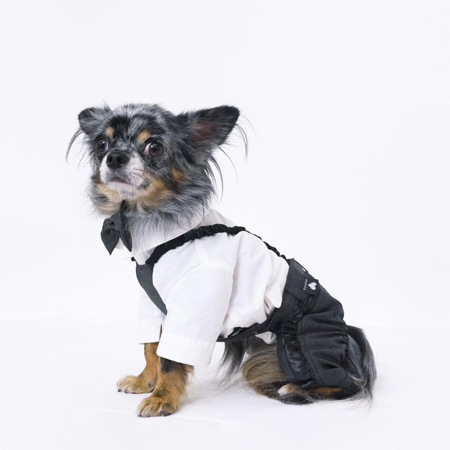 シャインパーティーパンツ (Gray)