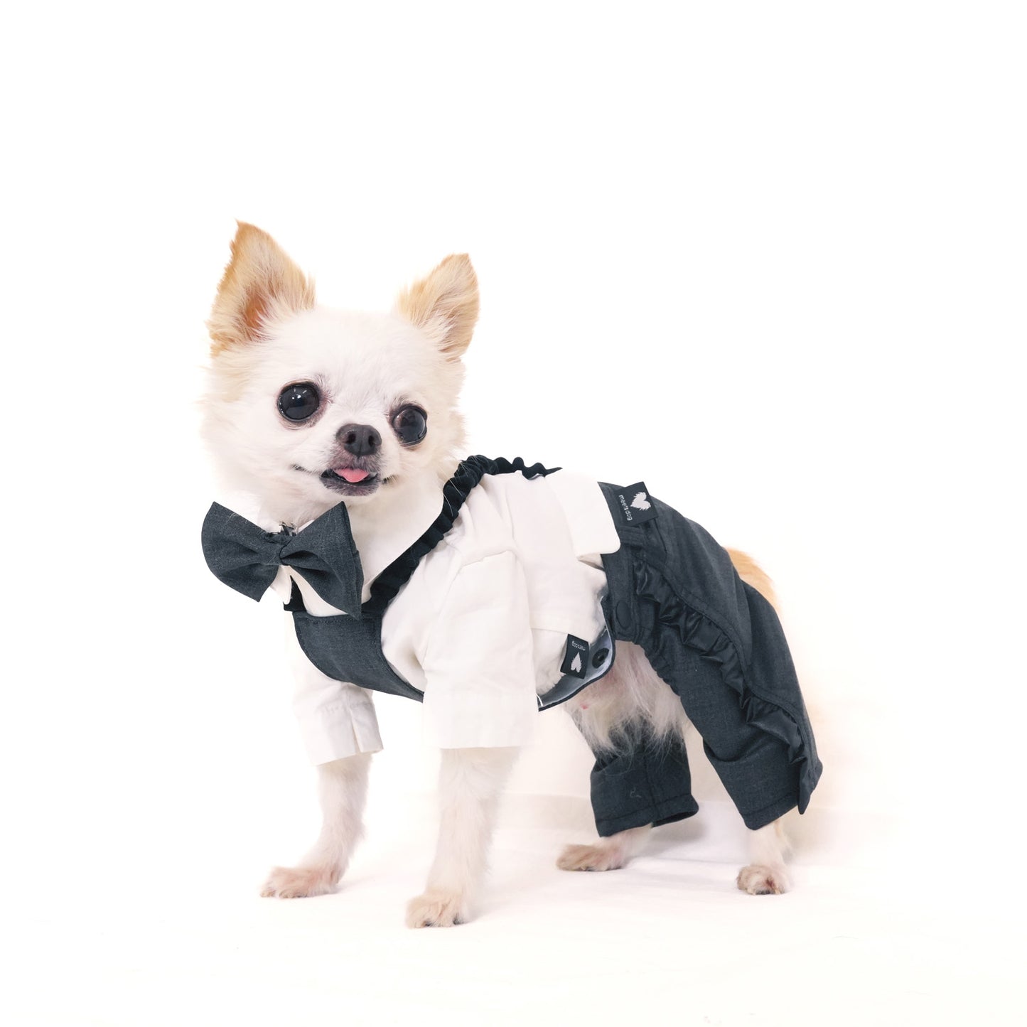 シャインパーティーパンツ (Gray)