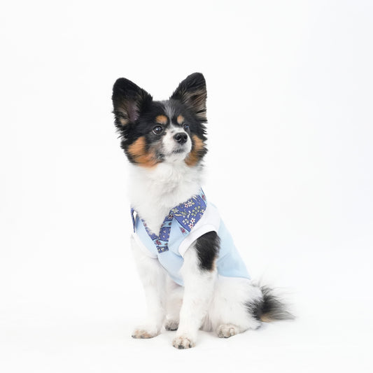 バナルクレリック (Sky)