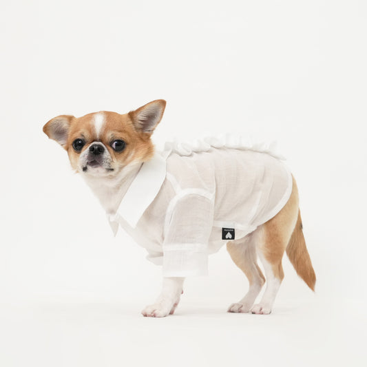 バックフリルシャツ (White)