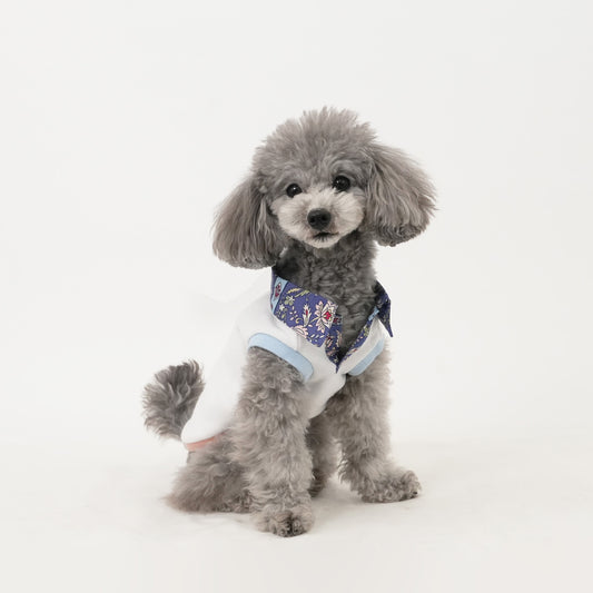 バナルクレリック (White)