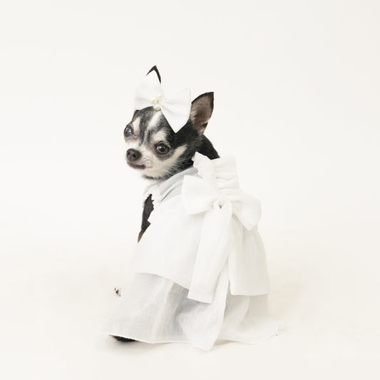 バックフリルワンピース (White)