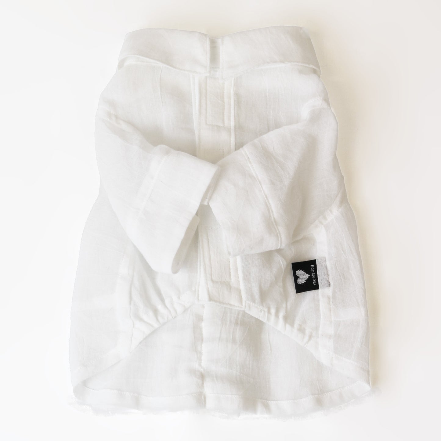 バックフリルシャツ (White)