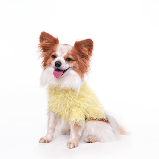 ヘアリーニット (Yellow)